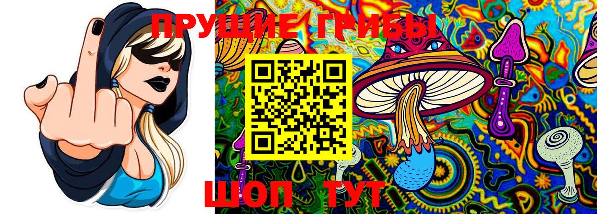 Орёл  наркотики  Вход с VPN  Галлюциногенные грибы мицелий 